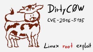 Dirty Cow Dirty Cow