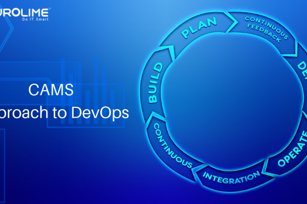 CAMS Approach to DevOps