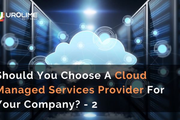 Should You Choose A Cloud Managed Services Provider For Your Company? – 2