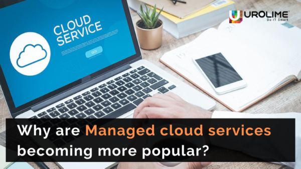 Why are Managed cloud services becoming more popular?