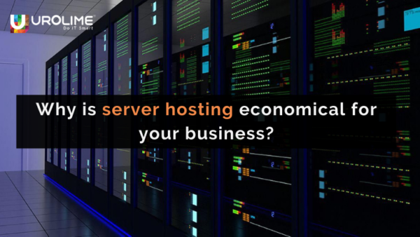 Why is a server hosting economical for your business?