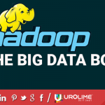 Hadoop The Big Data Boss1