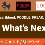 Heartbleed POODLE FREAK Logjam