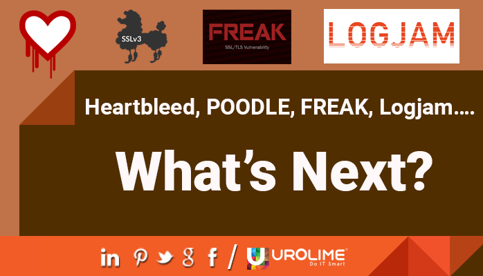 Heartbleed, POODLE, FREAK, Logjam…. What’s Next?