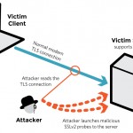 DROWN diagram1