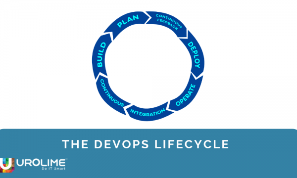 The DevOps Lifecycle