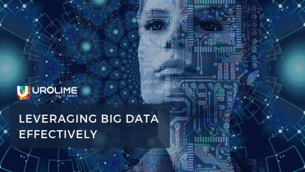 Leveraging Big Data Effectively