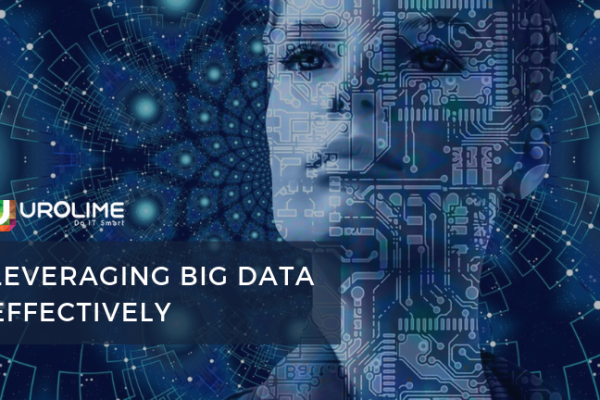 Leveraging Big Data Effectively