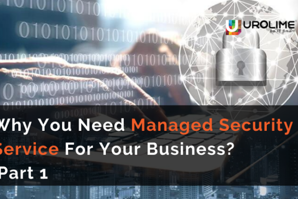 Why You Need Managed Security Service For Your Business? Part 1