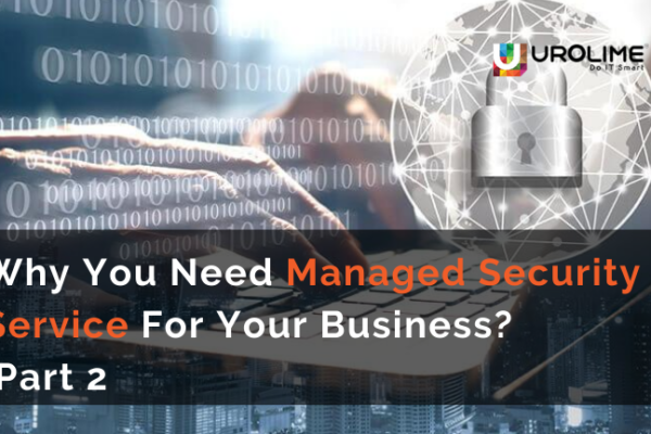 Why You Need Managed Security Service For Your Business? Part 2