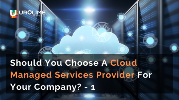 Should You Choose A Cloud Managed Services Provider For Your Company? – 1