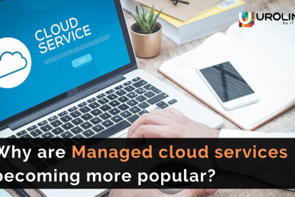 Why are Managed cloud services becoming more popular?