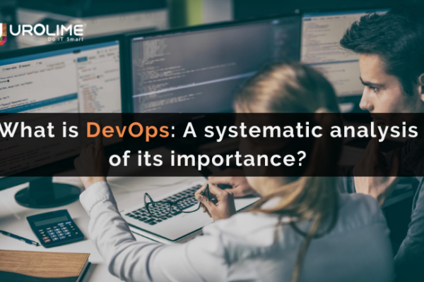 What is DevOps: A systematic analysis of its importance?