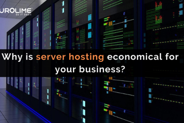 Why is a server hosting economical for your business?