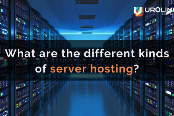What are the different kinds of server hosting?