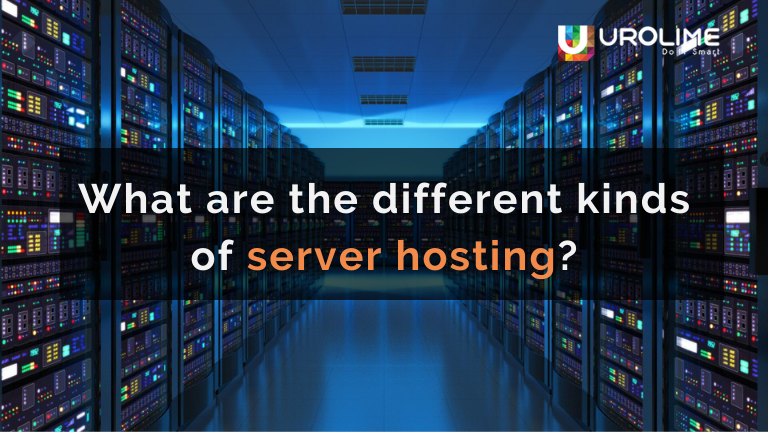 what are the different kinds of server hosting