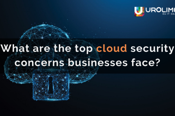 What are the top cloud security concerns businesses face?