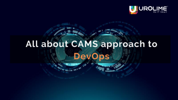 All about CAMS approach to DevOps