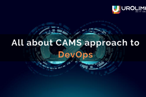 All about CAMS approach to DevOps