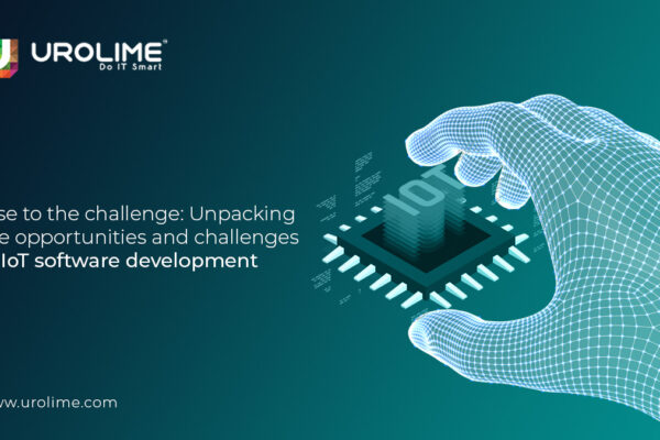 Rise to the Challenge: Unpacking the Opportunities and Challenges of IoT Software Development