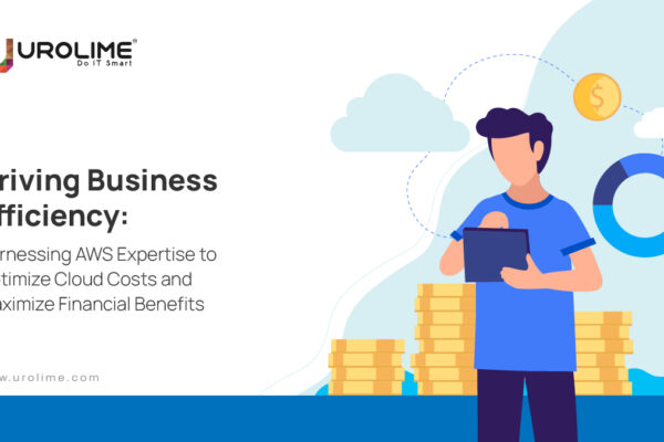 Driving Business Efficiency: Harnessing AWS Expertise to Optimize Cloud Costs and Maximize Financial Benefits